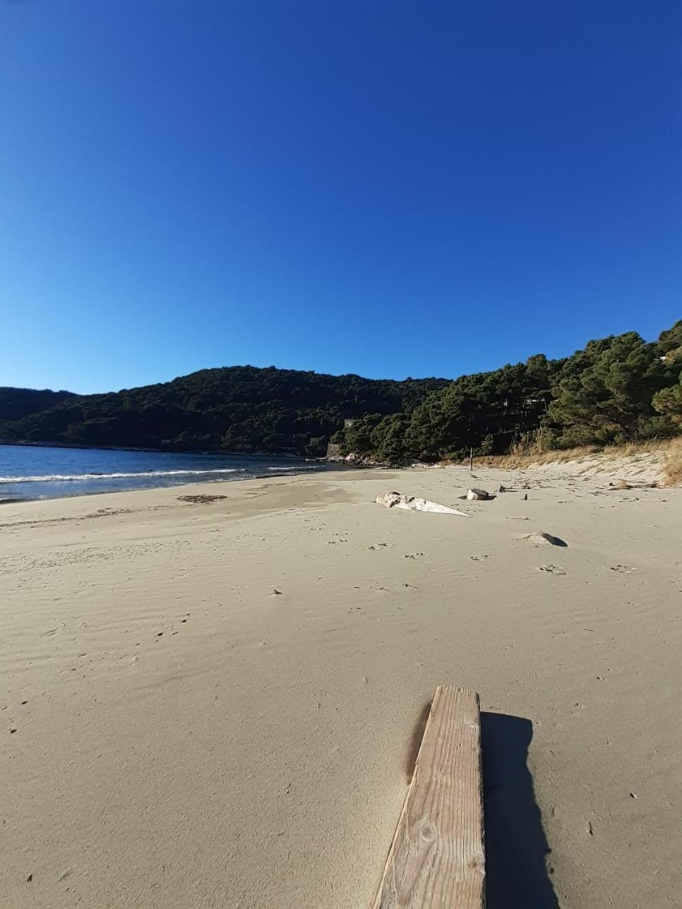 Apartment Nadine Mljet Mit Meerblick Okuklje Екстериор снимка