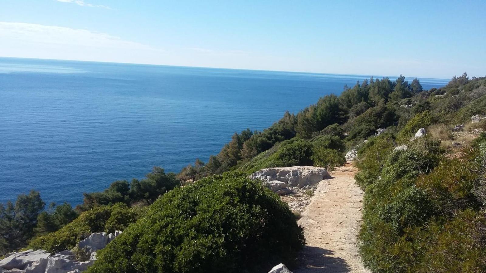 Apartment Nadine Mljet Mit Meerblick Okuklje Екстериор снимка
