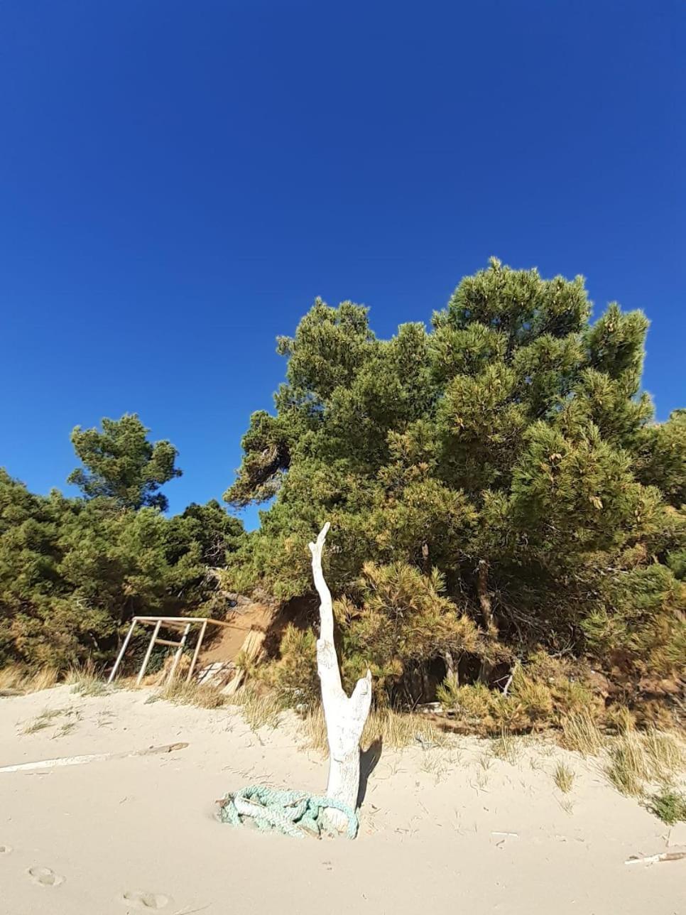 Apartment Nadine Mljet Mit Meerblick Okuklje Екстериор снимка