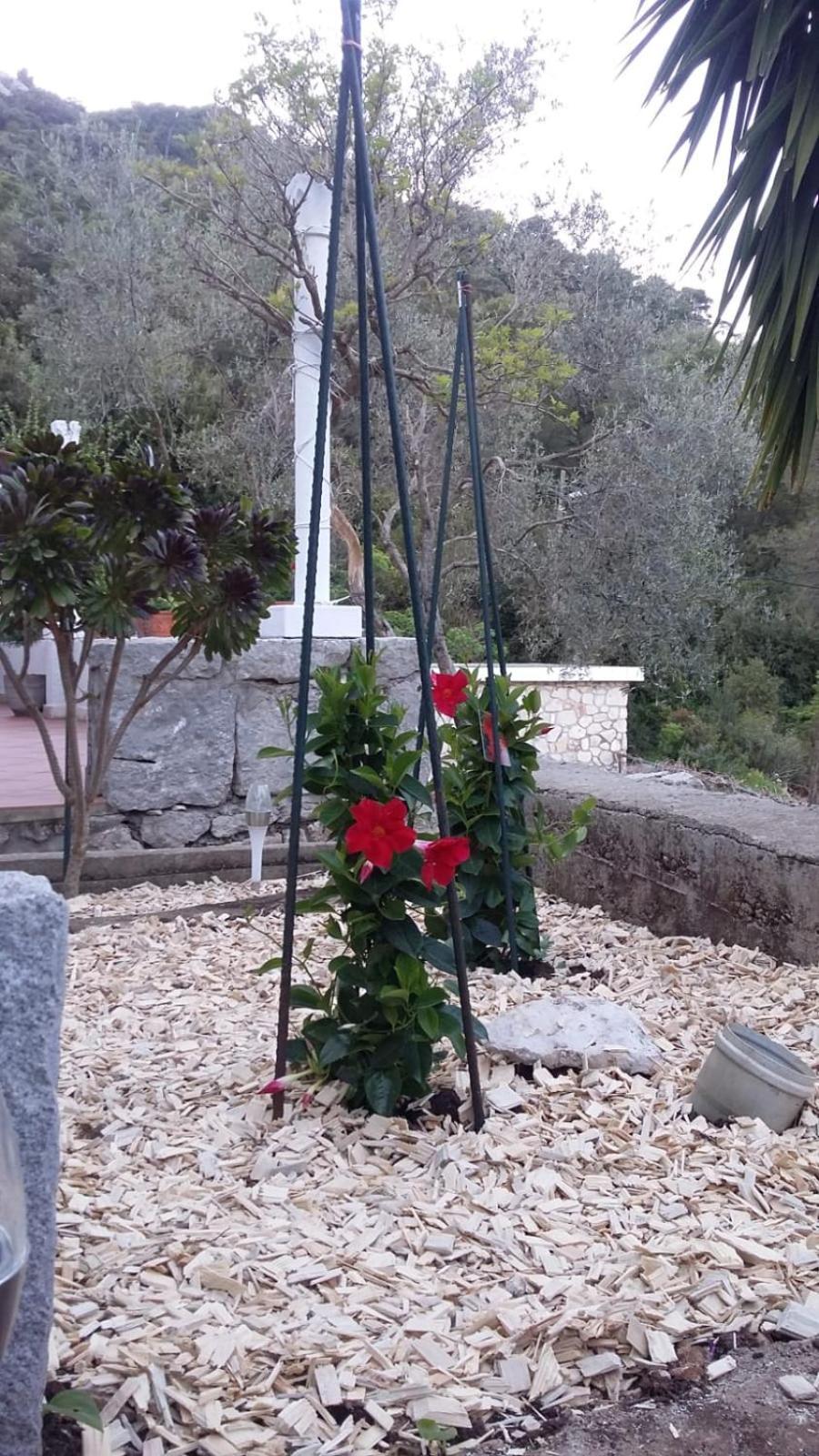 Apartment Nadine Mljet Mit Meerblick Okuklje Екстериор снимка